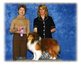 Feb 07' 2nd major to finish Under Judge Harriet Smith ! Noah is a new Champion ! CH Tara Hill The Rainman " Noah"
