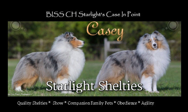  Starlight Shelties 